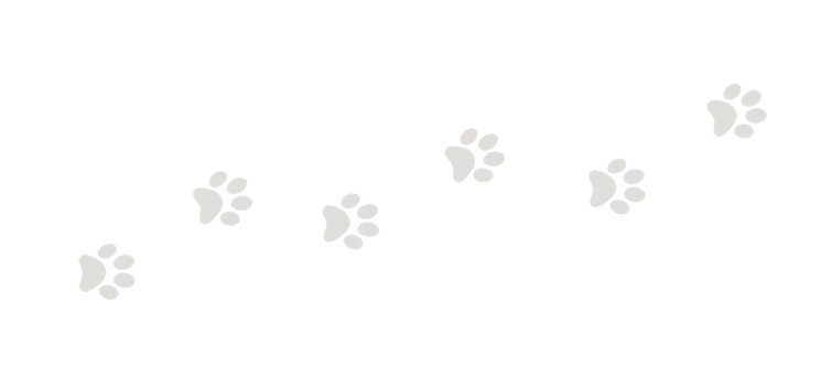 pawprints