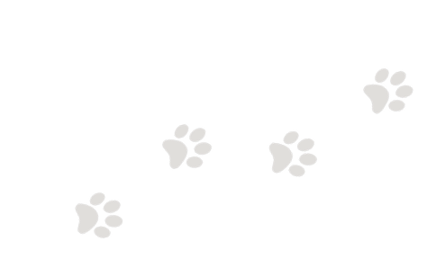 pawprints